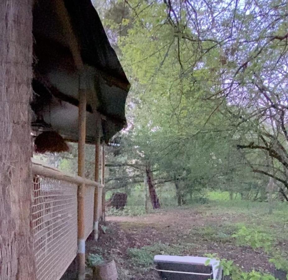 Ecolodge Beauregard Treigny Exterior foto