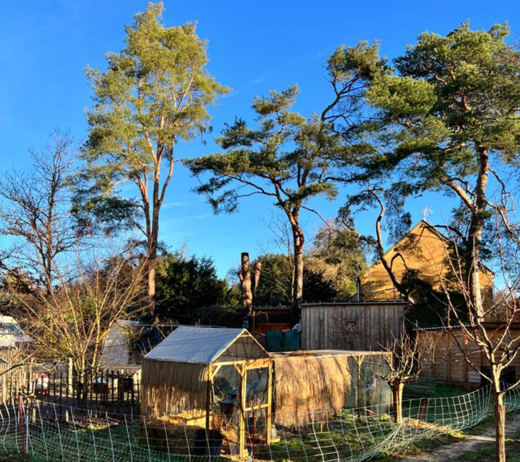 Ecolodge Beauregard Treigny Exterior foto
